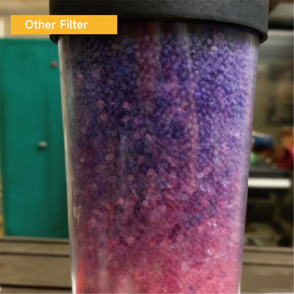 Samples Purchased From The Market